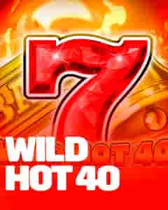 Wild Hot 40