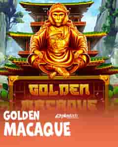 Golden Macaque
